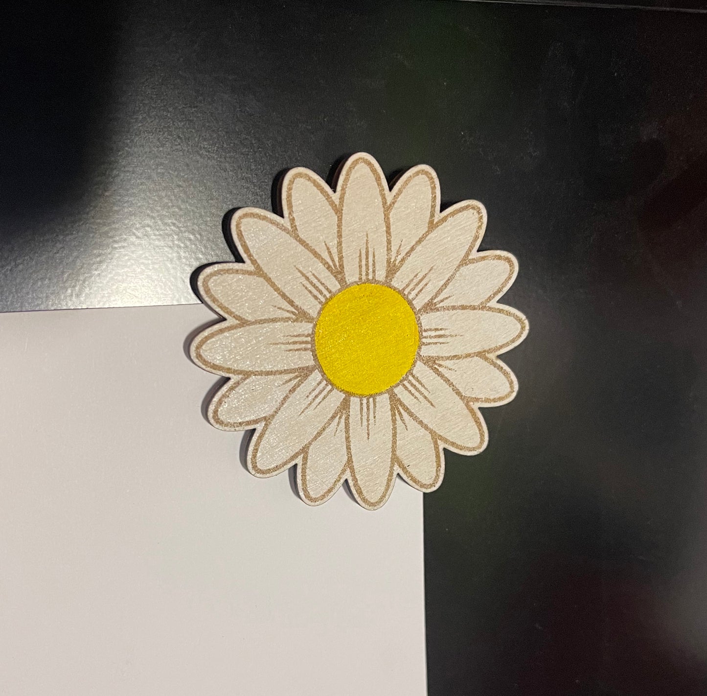 White Daisy Magnets (Set of 4)